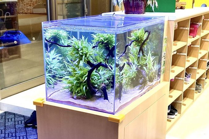 第二聖徳幼稚園(新園舎)さま