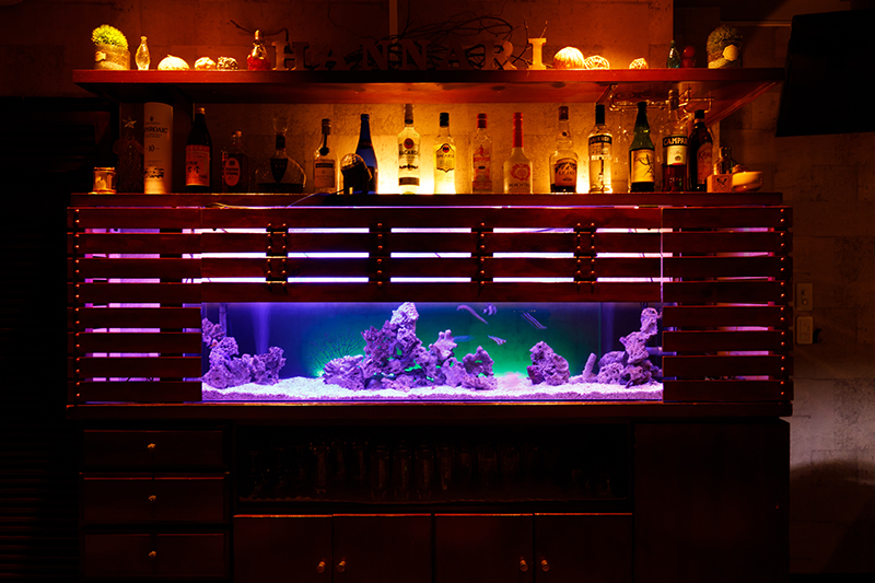 週一回のメンテナンスで美しい水景を保つ