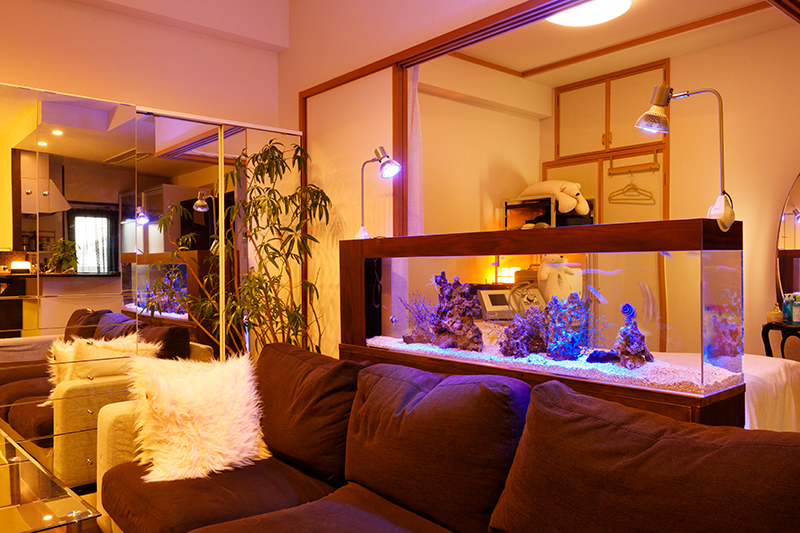 アクアリウム水槽のデザイン・設計・メンテナンスなら広島県福山市の游遊(ゆうゆう)
