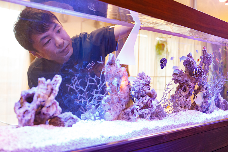 アクアリウム水槽のデザイン・設計・メンテナンスなら広島県福山市の游遊(ゆうゆう)