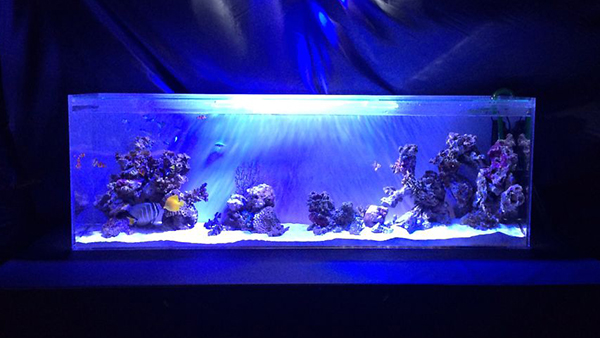 住宅展示場のイベント協力