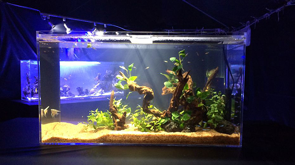 住宅展示場のイベント協力