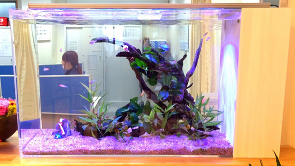 住宅型有料老人ホーム様